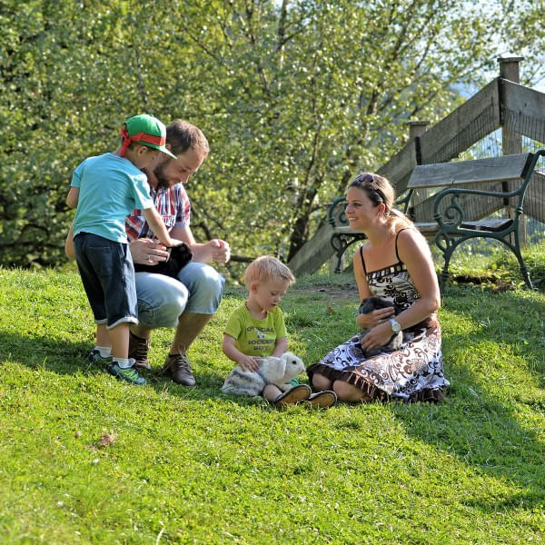 Familie mit zwei Kindern spielt mit Kaninchen auf einer Wiese