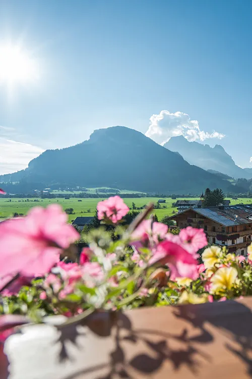 Außenansicht des Babyhotel und Kinderhotel Babymio mit Außenpool, Gartenbereich und Spielplatz